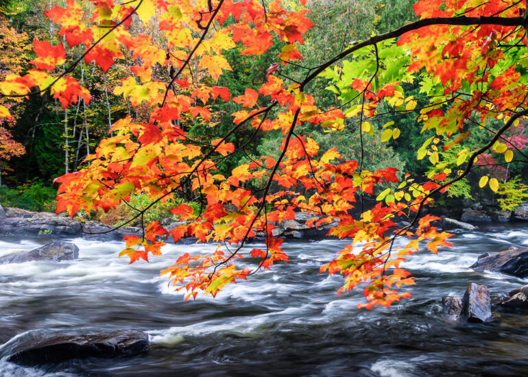 Canada, Dorset, Fall, Muskoka, North America, Ontario, Oxtongue River, Weather and Seasons, fall, fall colours, fall foliage